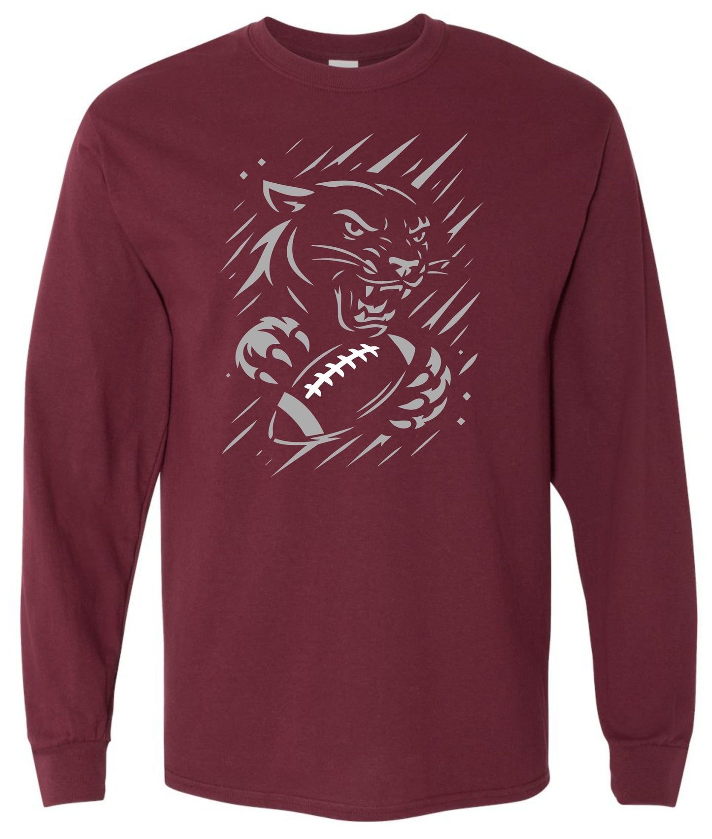 2025 Panther Football Meteor Shower