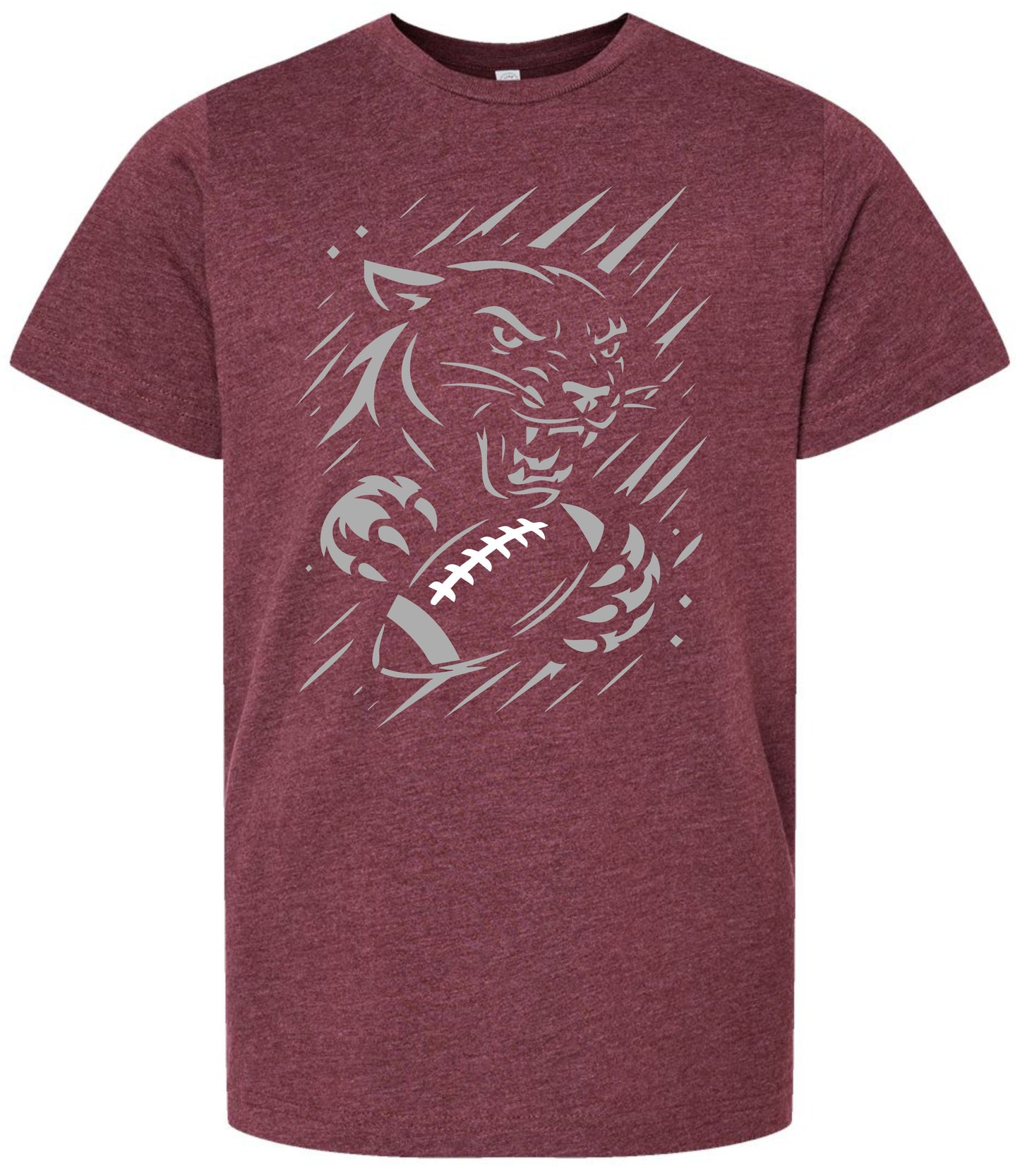 2025 Panther Football Meteor Shower