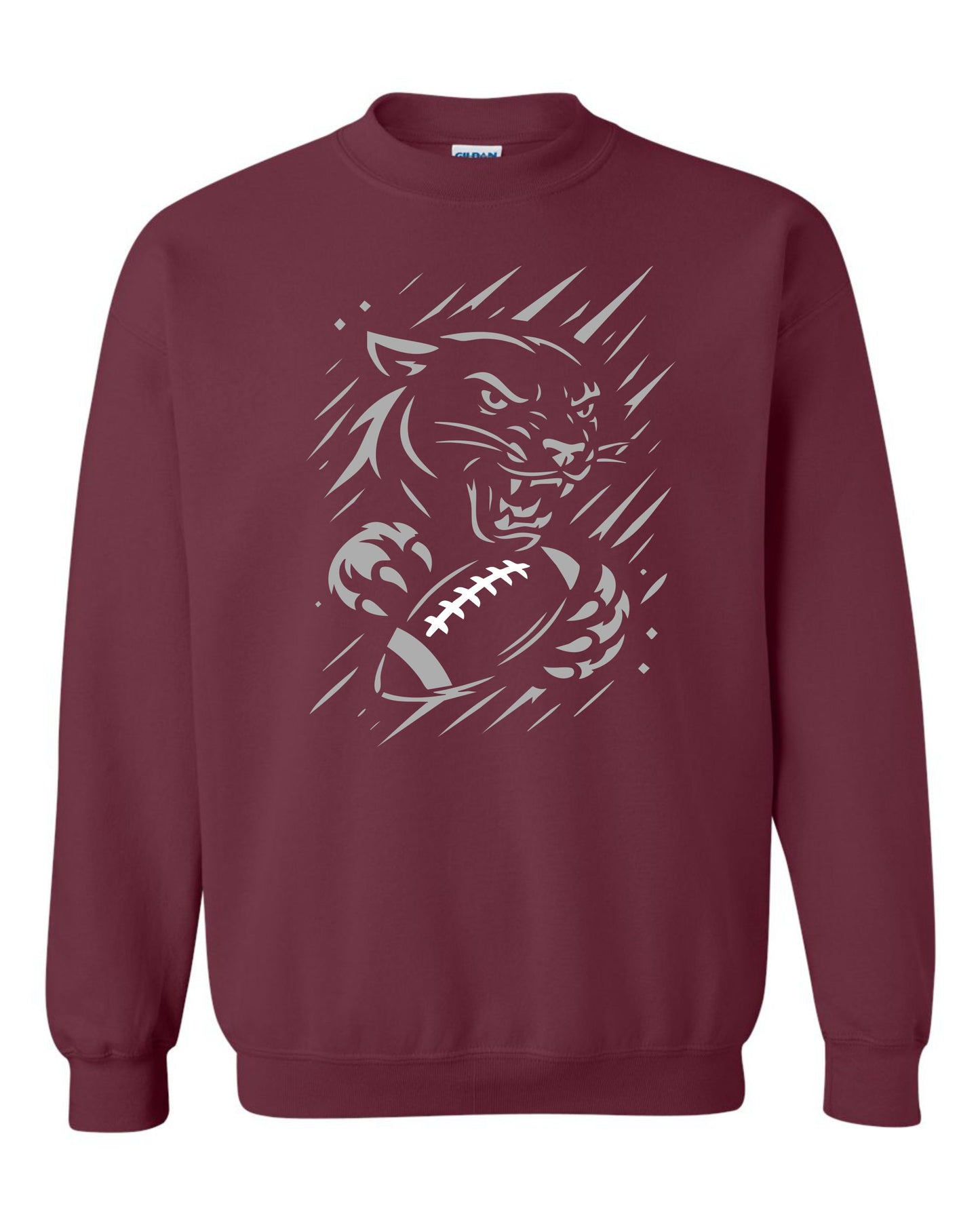 2025 Panther Football Meteor Shower
