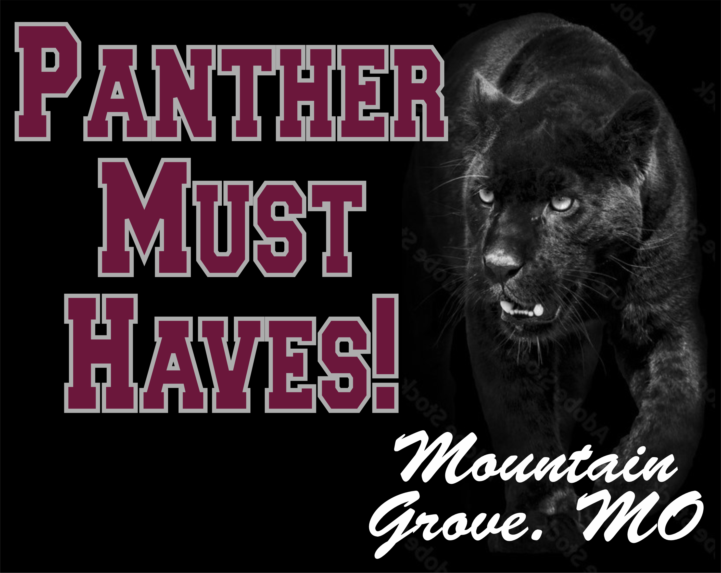 Panther Must Haves