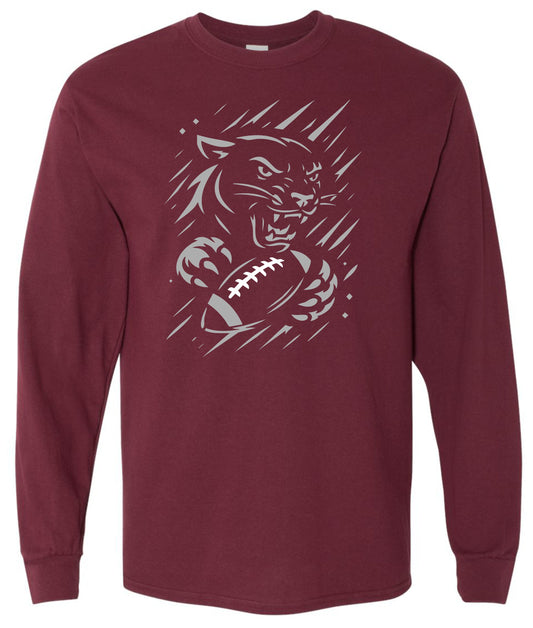 2025 Panther Football Meteor Shower