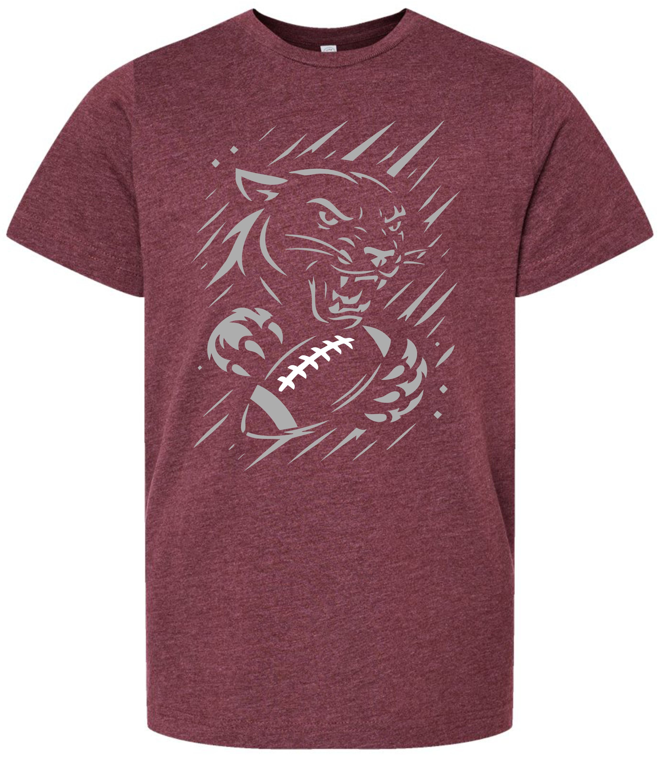 2025 Panther Football Meteor Shower