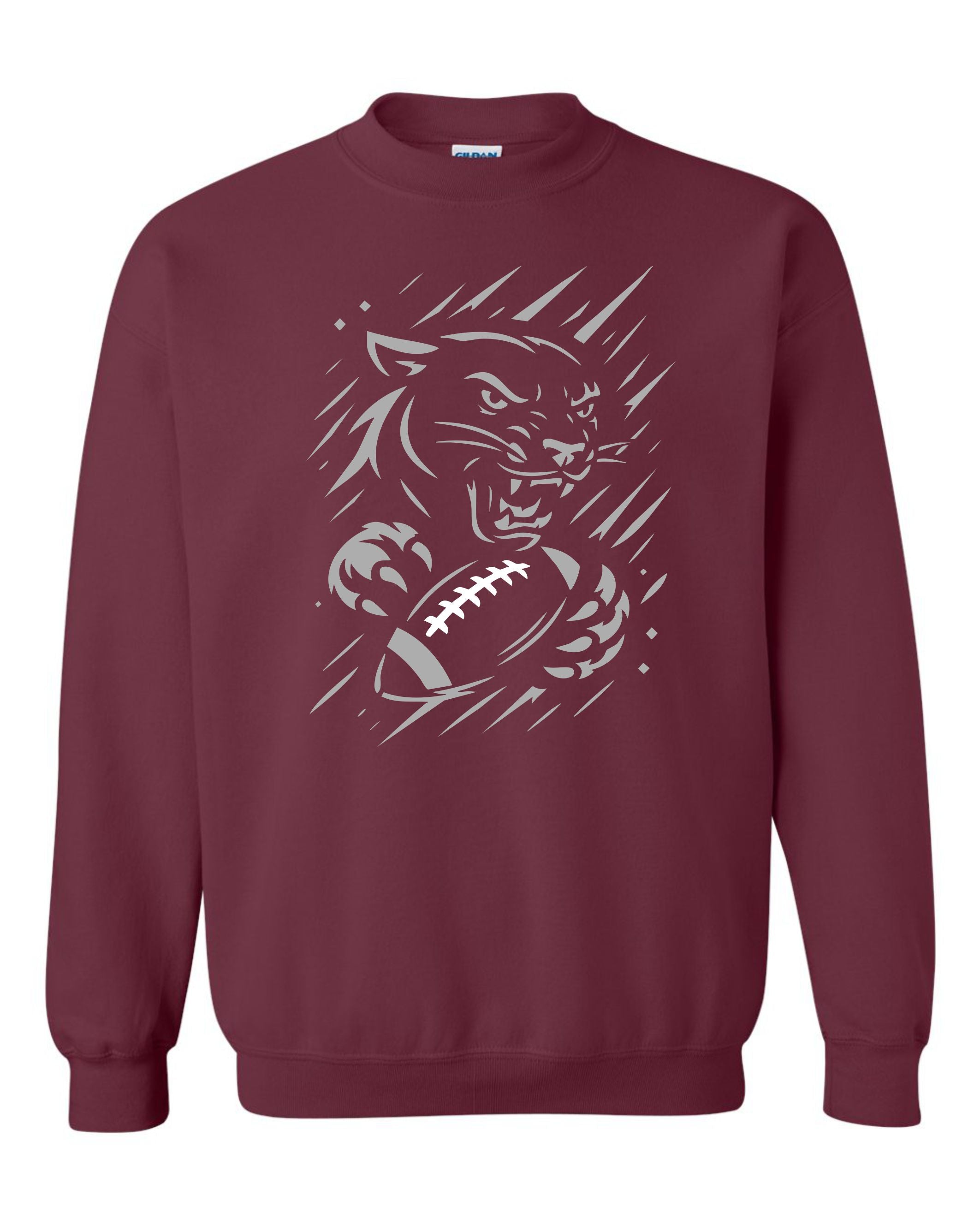 2025 Panther Football Meteor Shower